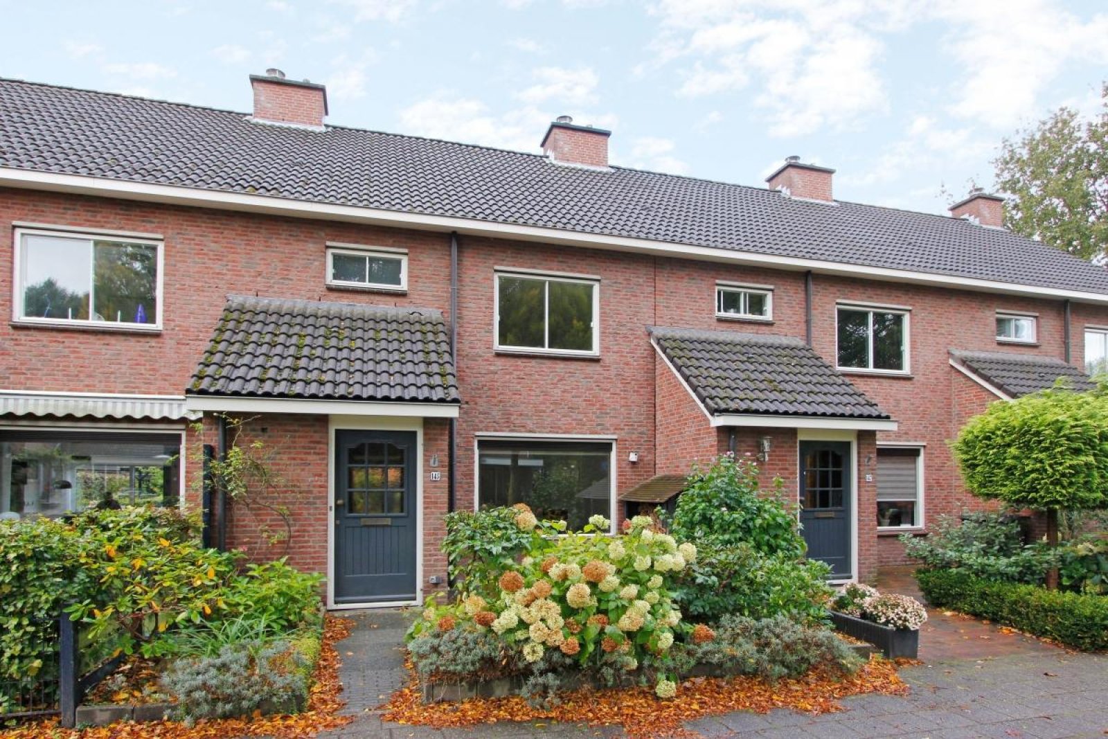 Foto 1 van 14, Heggerank 127, LOCHEM
